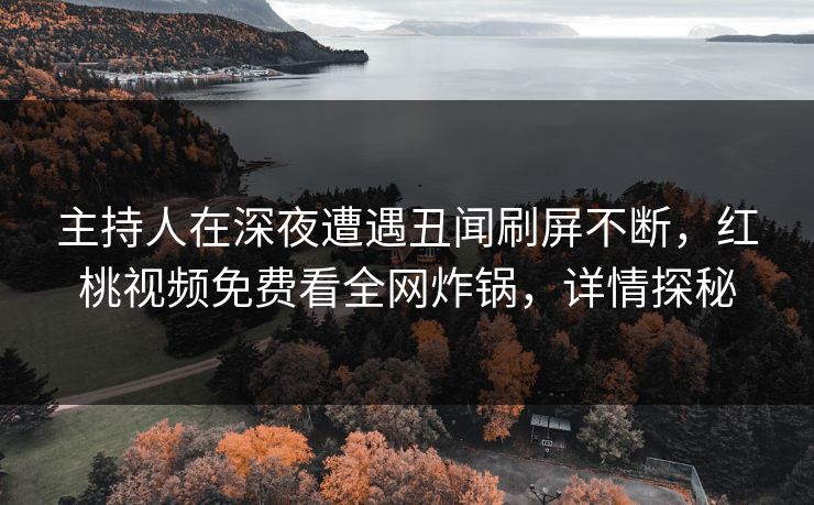 主持人在深夜遭遇丑闻刷屏不断，红桃视频免费看全网炸锅，详情探秘