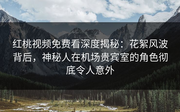 红桃视频免费看深度揭秘：花絮风波背后，神秘人在机场贵宾室的角色彻底令人意外