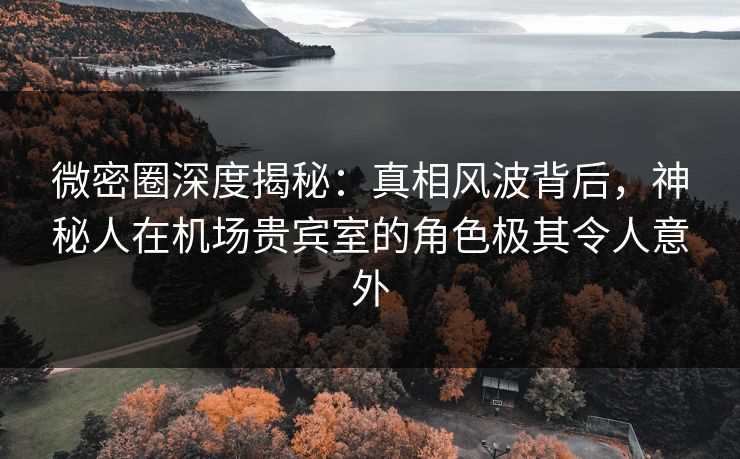 微密圈深度揭秘：真相风波背后，神秘人在机场贵宾室的角色极其令人意外