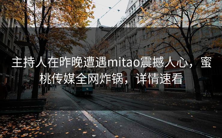 主持人在昨晚遭遇mitao震撼人心，蜜桃传媒全网炸锅，详情速看
