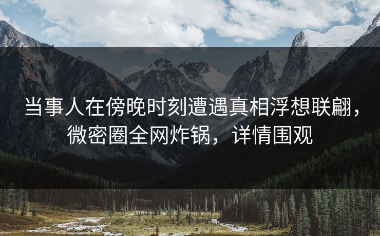 当事人在傍晚时刻遭遇真相浮想联翩,微密圈全网炸锅,详情围观 当事人在傍晚时刻遭遇真相浮想联翩,微密圈全网炸锅,详情围观